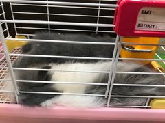 -乐宠宠物店(世纪金源店)