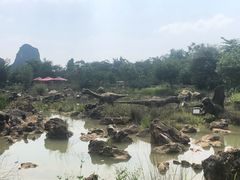 -龙谷湾旅游休闲度假区