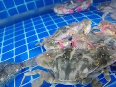 -宾朋海鲜特色美食餐厅·纯手工鲅鱼水饺(兴海路店)