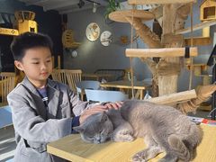-豆逗聊愈猫阁Easy Life