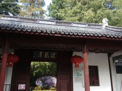 -汇龙潭