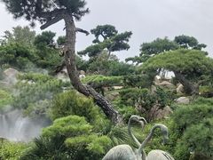 -罗红摄影艺术馆