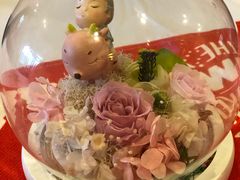 -浦鸿会游泳健身中心·Ambassy Club PD(金桥碧云国际社区店)