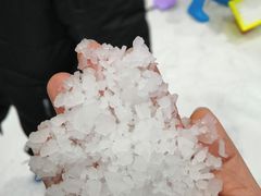 -Mr·Kuma酷么先生雪之乐园