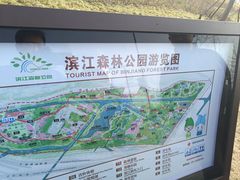 -上海滨江森林公园