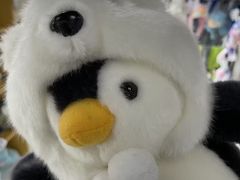 -杭州长乔极地海洋公园