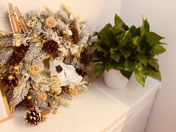 -美丽田园Beauty Farm