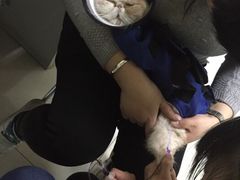 -纳吉亚猫专科动物医院博雅分院