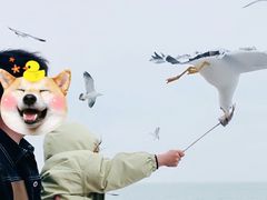 -海驴岛(荣成市)