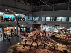 -自贡恐龙博物馆