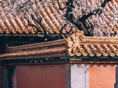 -故宫博物院(故宫)