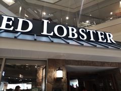 -RED LOBSTER(多伦多DT店)