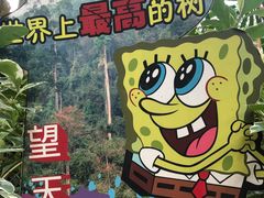 -华南国家植物园-售票处