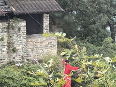-窦圌山风景区