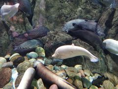 -成都浩海立方海洋公园