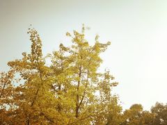 -苏州河梦清园环保主题公园