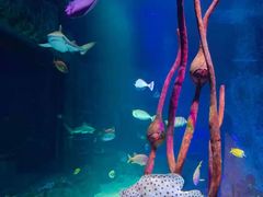 -沈阳海洋探索中心