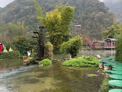-靖西鹅泉风景区