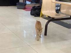 -老盛昌(梅陇店)