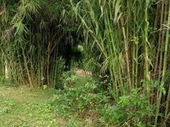 -白鹭湾湿地公园