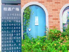 -王借岗森林公园