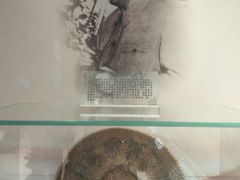 -毛泽东视察棠下旧址