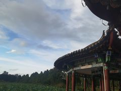 -庾园