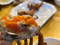 -瑞丽活螃蟹(芒市店)