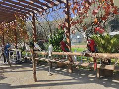 -哈尔滨北方森林动物园