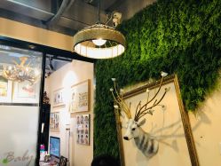 -四叶草环球旅拍