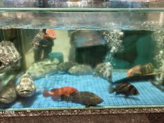 -聚福宝合苑食府(南头镇店)