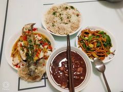 -田螺阿姨自营月嫂·育儿嫂(高新店)