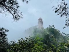 -缙云山景区