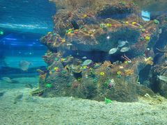 -沙沙哗啦海洋馆(华宇百花谷店)
