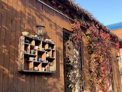 -陶野咖啡·面包披萨