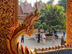 -西双版纳勐泐文化旅游区