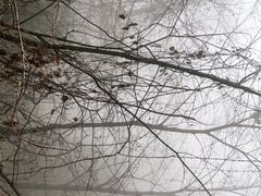 -终南山南五台景区