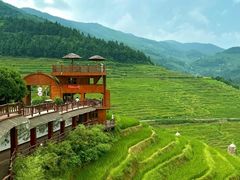 -紫鹊界梯田景区