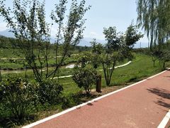 -洨河生态公园