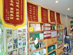 -歌曼丽草本减重