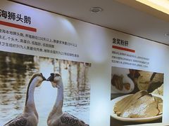 -陆记鹅庄·潮汕菜·狮头鹅(大仟里店)
