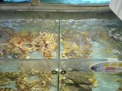 -快乐海鲜酒楼(滇池路店)