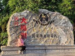 -大槐树寻根祭祖园