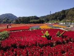 -广州市石门国家森林公园