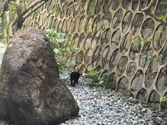 -海南文笔峰盘古文化旅游区
