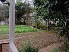-故乡缘·香格里拉山庄(冷竹路店)