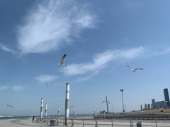 -东港音乐喷泉广场