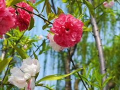 -玄武湖景区-情侣园游乐场