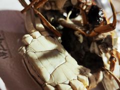 -遇上西雅图多融合海鲜自助餐厅(中房金谊广场店)
