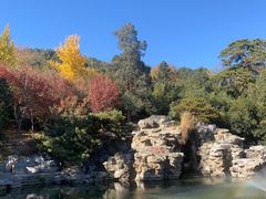 -香山公园